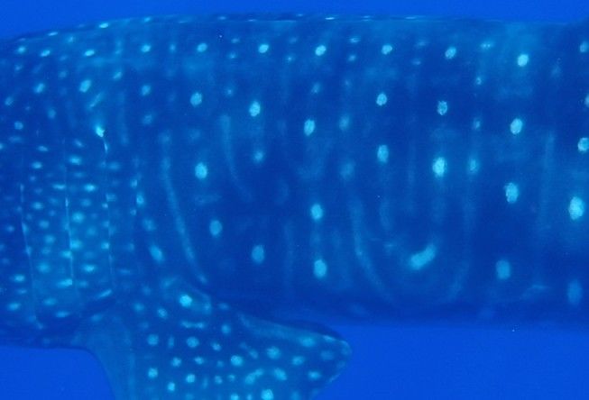 7586ef24-a38f-44bb-a2d1-0d28a6ec58f5