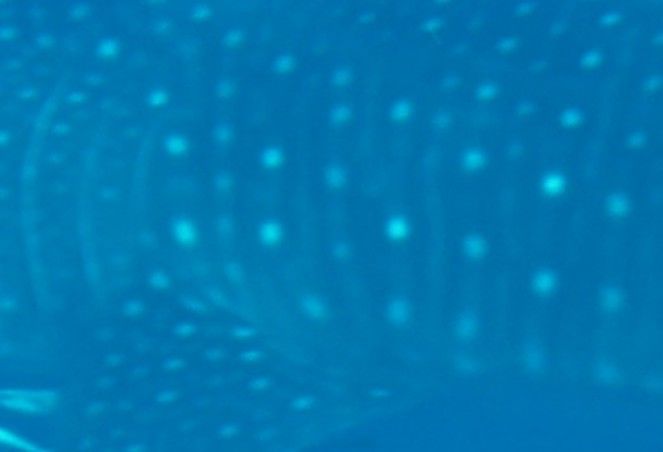 663d9adf-ef76-44ad-9f8c-a17f594de379