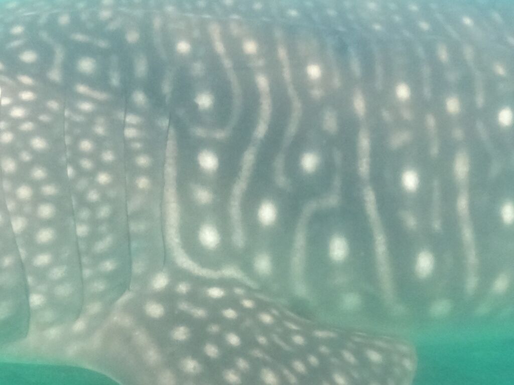 38e709e2-ab25-46da-a657-32929b284109