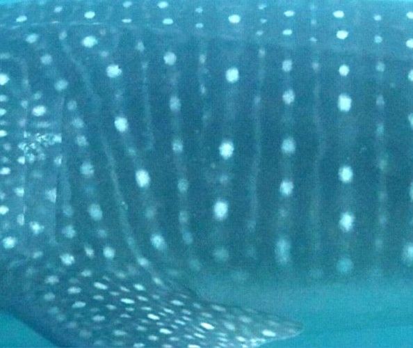 89ef886e-0545-4187-afb4-682d095778bb