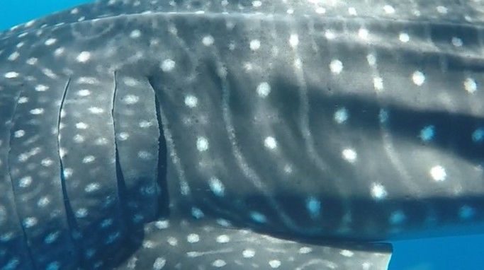 341c4769-4d75-4d5a-b16a-5891350c4e56