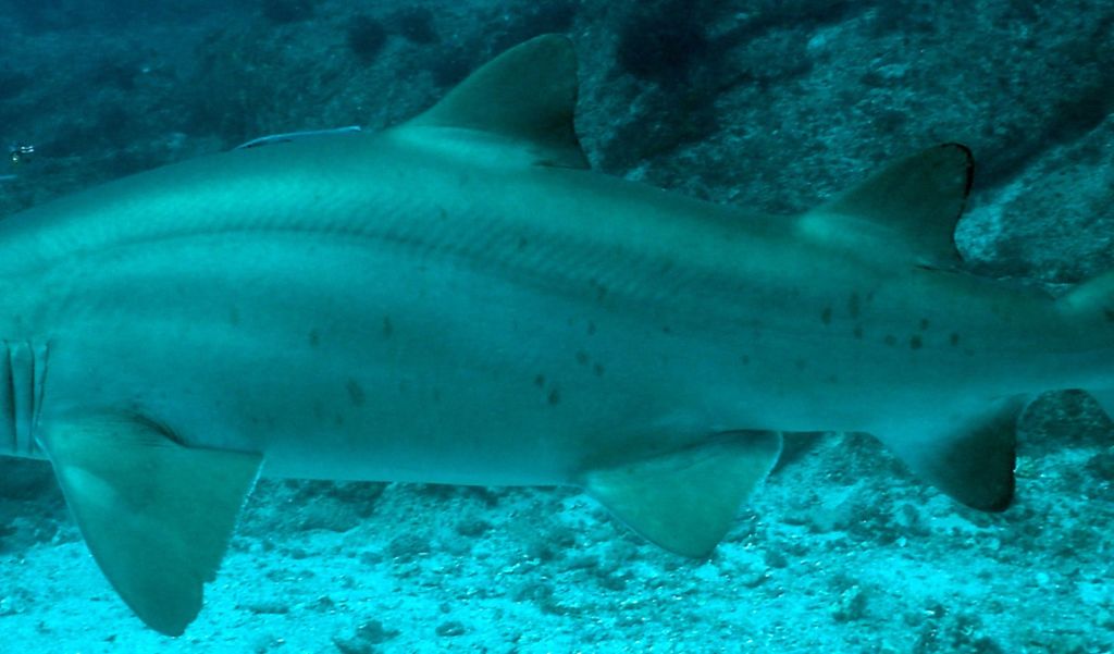 129b9184-cb15-41f2-be96-919b0d23263b