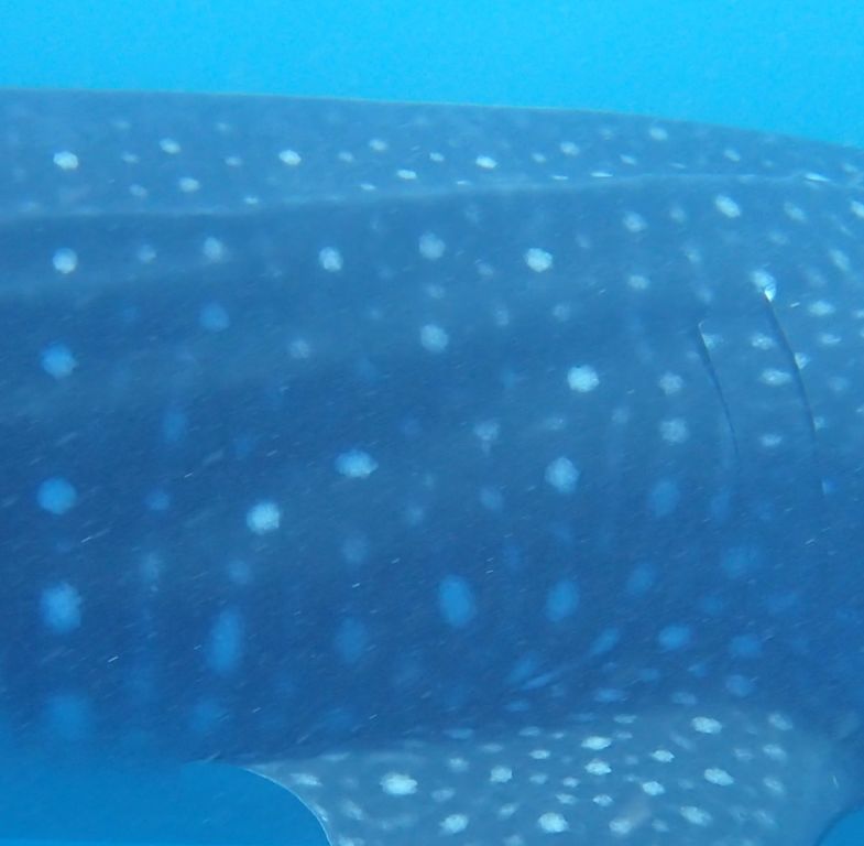 15874d60-371f-437b-8aea-1cd43a5f5df6