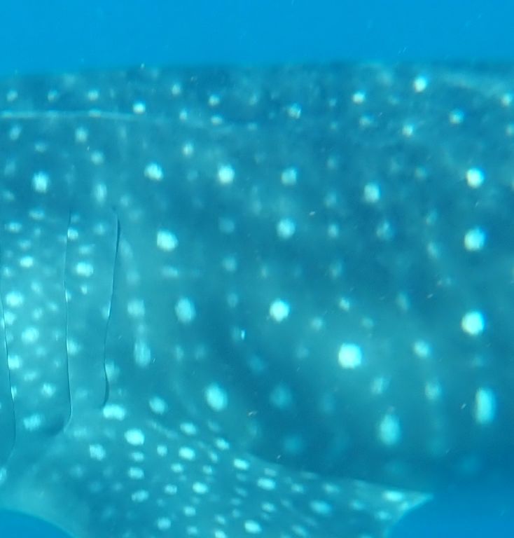 15874d60-371f-437b-8aea-1cd43a5f5df6