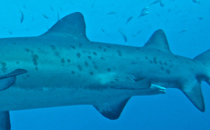 303c40a2-7c76-4c6c-ad53-c4a00d73350c