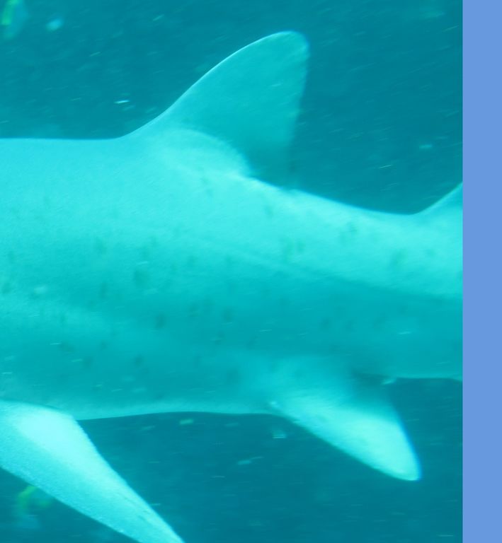 56dbacfc-73d4-4645-83fa-f7272233fa30