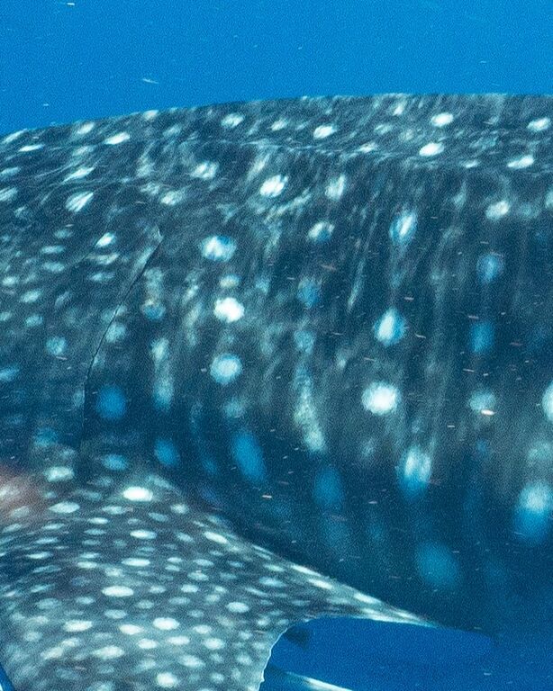 a893257b-751c-48ac-a16b-e0bfeec4194d