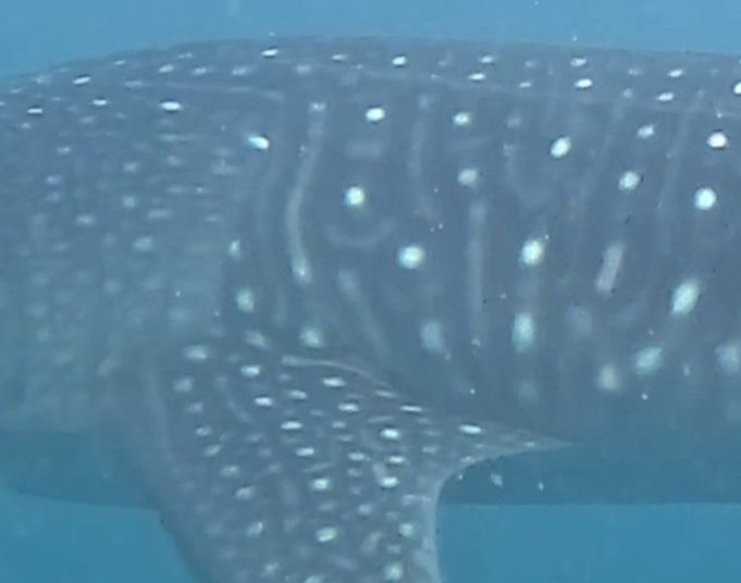 caf1377c-a89b-4b52-ba14-e68cfe72a421