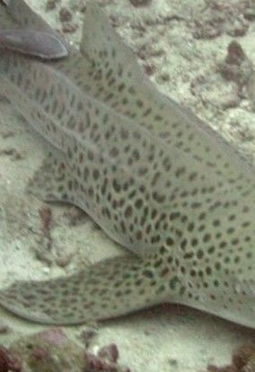 79a2935a-450f-40f3-85c4-7567fbf7b0a0