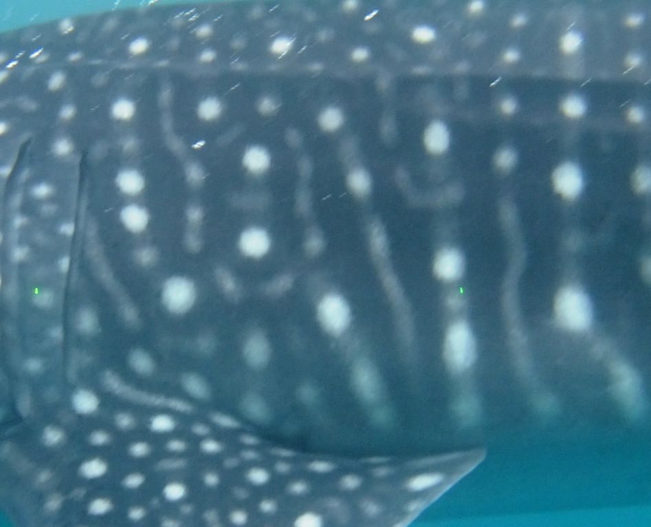 a0846434-7871-4a38-af2a-cc37c119bca8