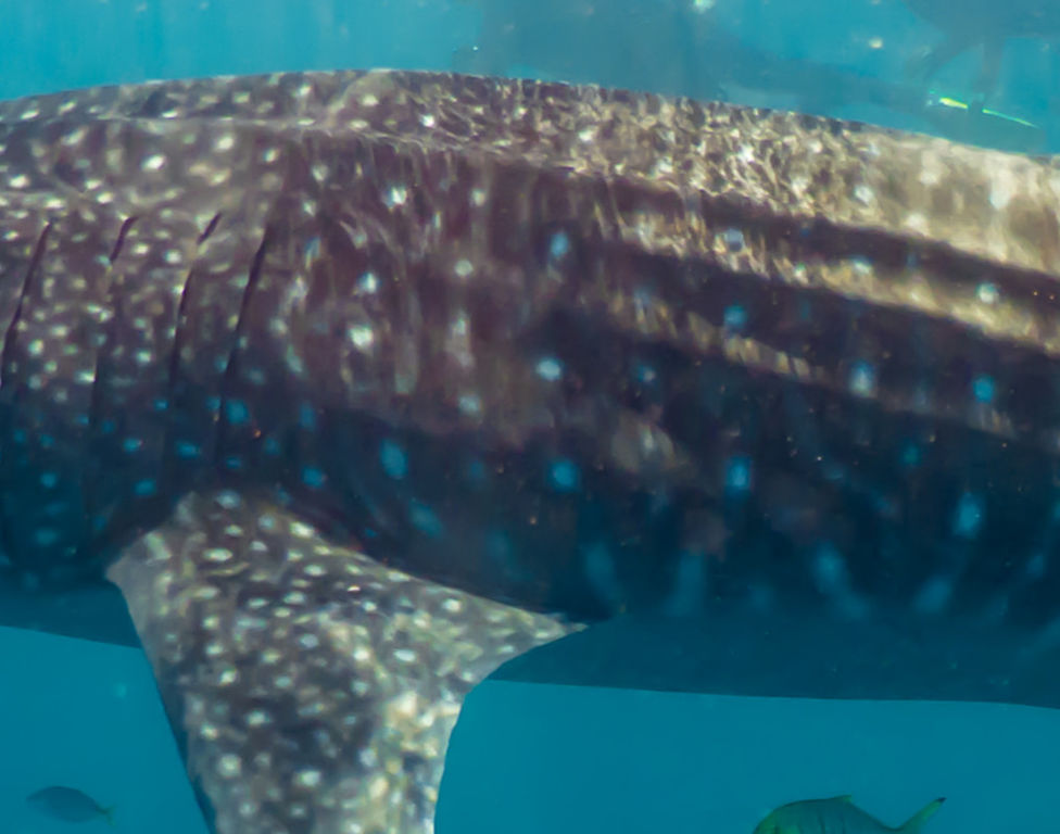 8cf35555-e834-4a1a-b1e9-63f3a1f3d4c9