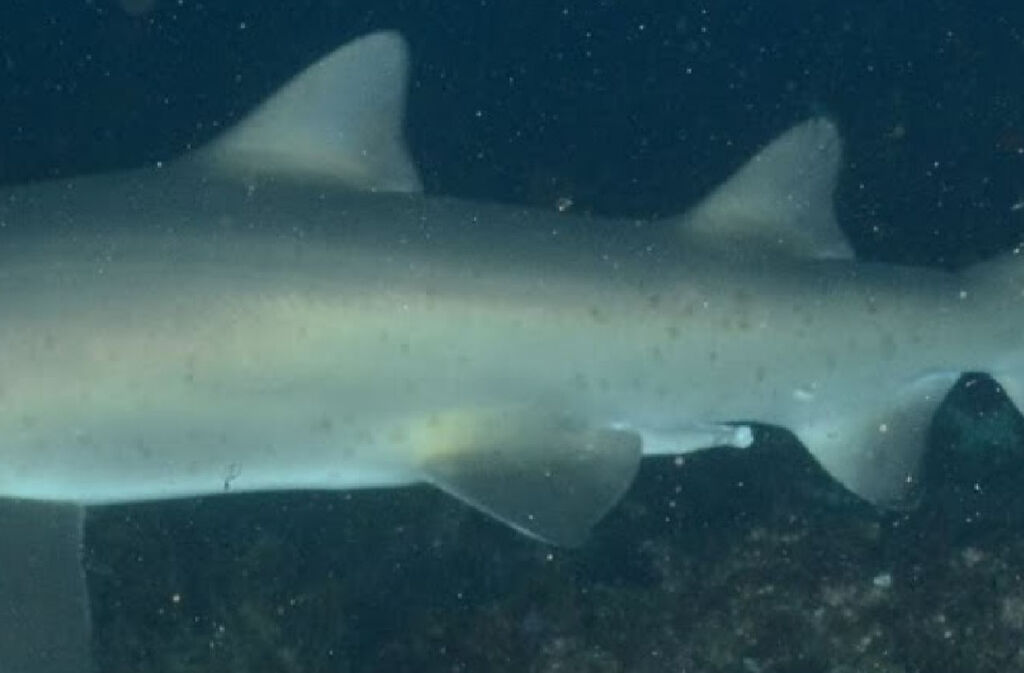 184b3a22-3538-45a3-8b50-303db5d2103a