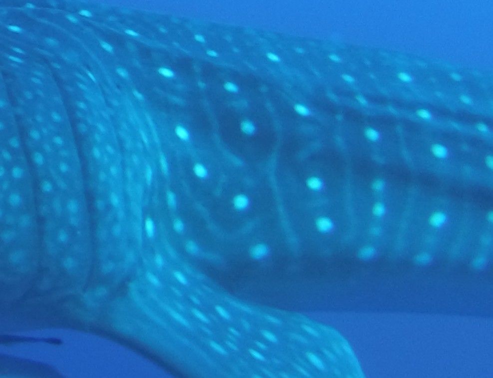 8976be47-3118-474a-9886-8ed663a195e1