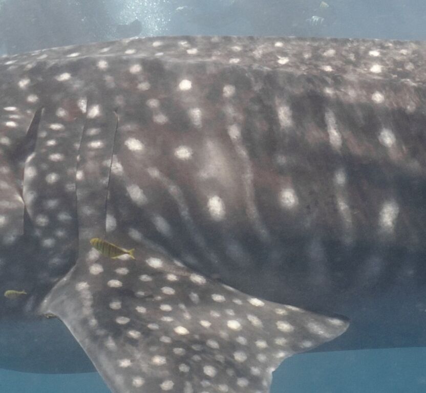 35761845-e84e-479d-b71e-b58017253525