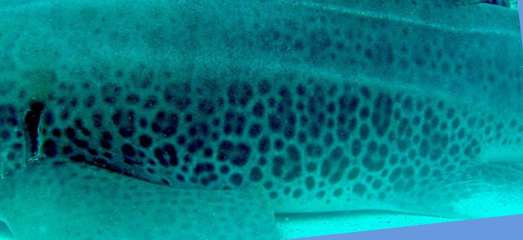 adb8682e-5567-45e7-9571-0a292e19b640