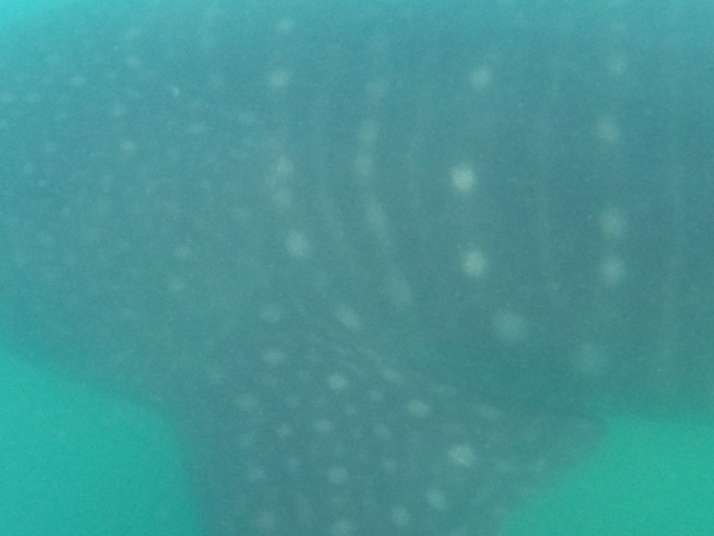 06fc34db-9a1a-4dd4-8137-19864b1a810a