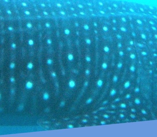 d070107d-9ca9-4fdf-8201-2db6d40c54f3