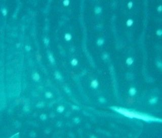 d104d24a-d612-4ebe-98e8-1f97559dbee9