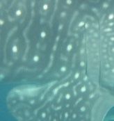 d104d24a-d612-4ebe-98e8-1f97559dbee9