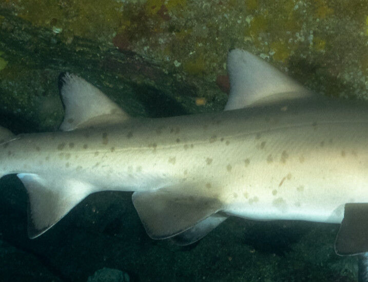 ad4f15c9-9ace-4fd2-a0a5-330920fcc5ae