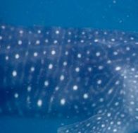 3b14eac8-1ed1-4574-9c2c-83e3a6f2dcca