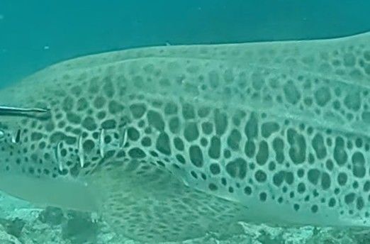 23b73a8d-a303-47eb-8a18-485a664d129c