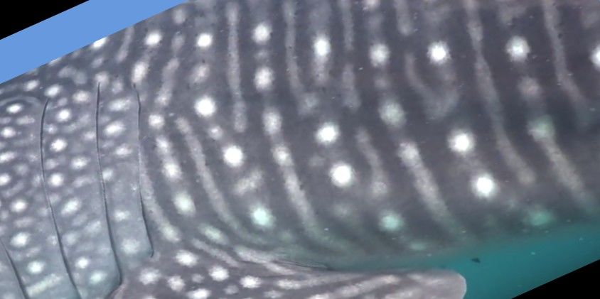 06b74c96-4607-4c8f-954b-b2f977f95060