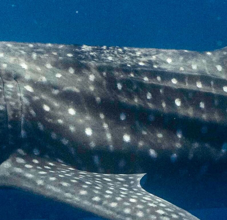 d82aa42f-f737-46c9-8454-a86d1df65ee7