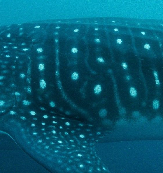 19539d6d-84f0-4170-9187-dec99ed72597