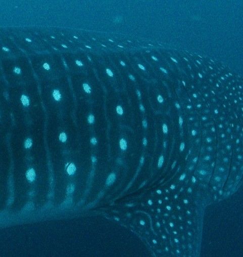 19539d6d-84f0-4170-9187-dec99ed72597