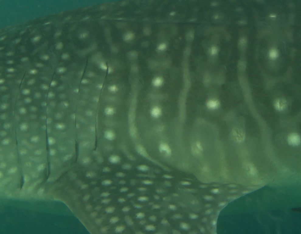 55c8fb39-7158-4ca9-bf85-419731fa9b07