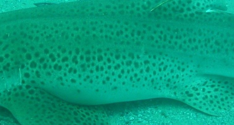 e95d2df0-b714-4055-970f-ac21d3046c4c