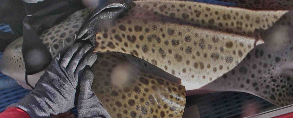 70d45916-2cac-47af-9cea-e043d1eb3763