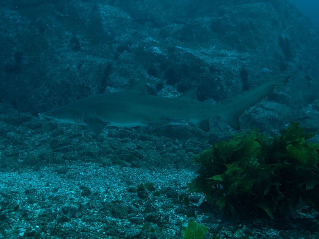 8dbc4ed2-278f-40c6-b1e8-f536d078f764