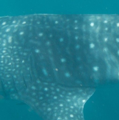 e6a1a743-a5a1-4465-bb44-ed24374edd4c