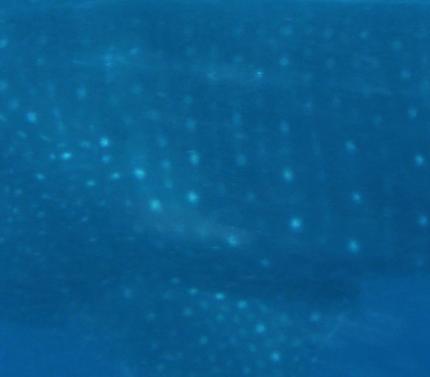 90e57574-e8d4-49e9-88c9-4f20c82f9a41