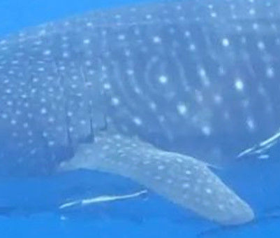 339de7d5-bcfc-468d-a810-79d4ddc9fa74