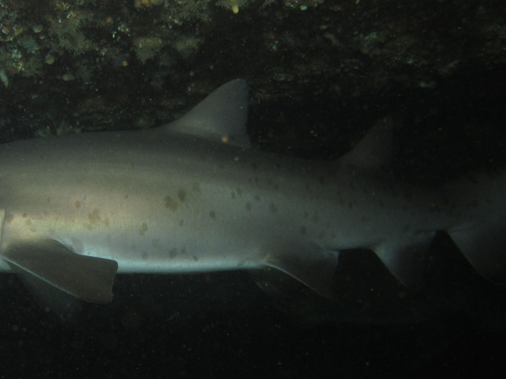 5c7057e3-a04f-4c78-a0bd-1f23b056325d