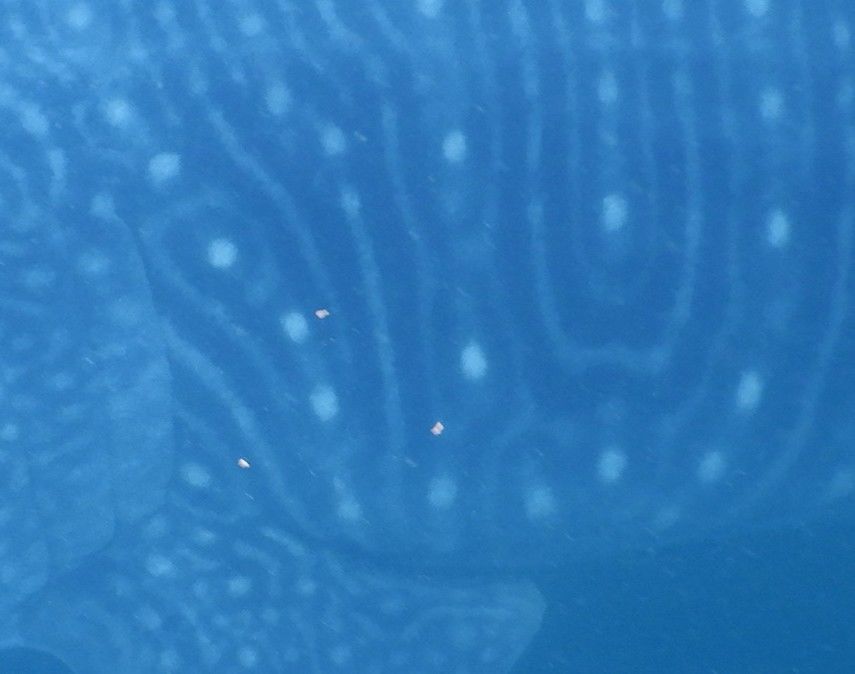 e27f5ba6-01ba-4359-a6fc-026f7e528ec3