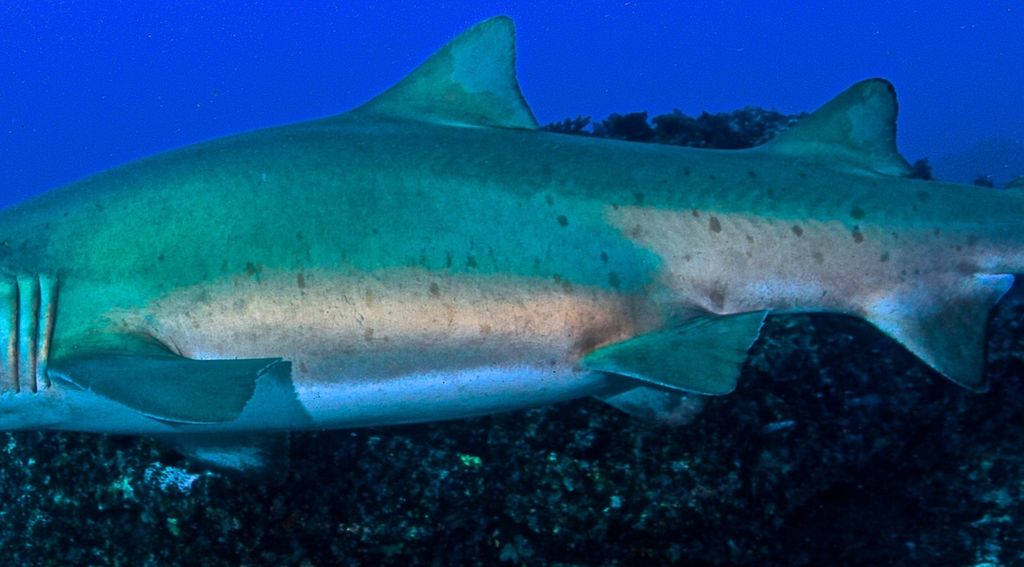 76dcc124-f572-40a1-ac31-456eb911d9f1