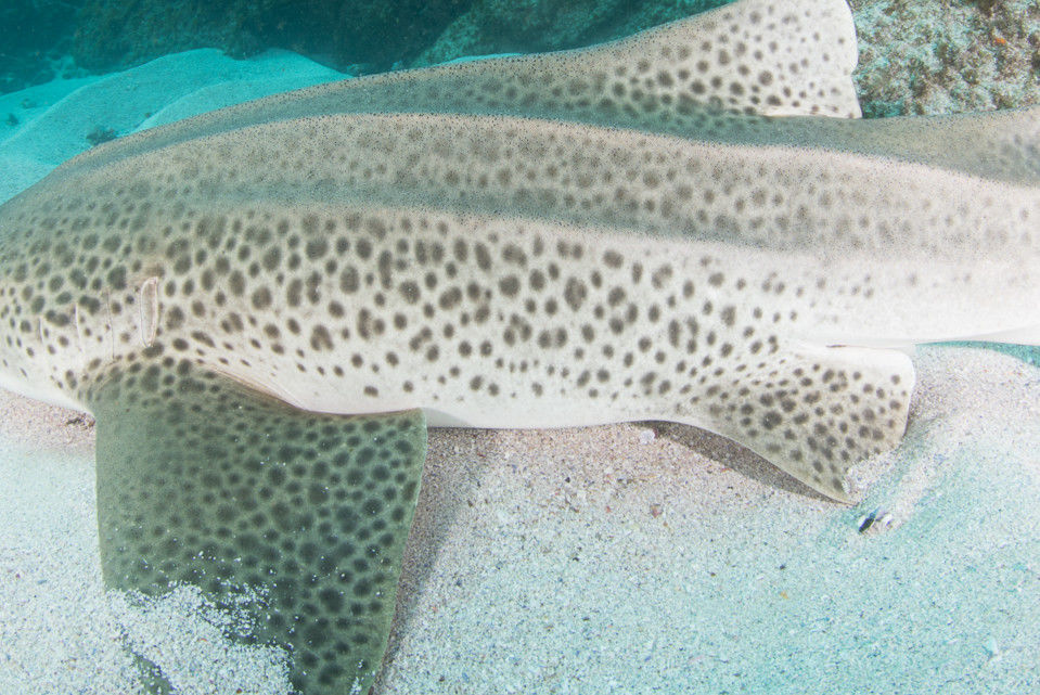 cccdbe72-589f-4366-b24a-acfac1c80adc