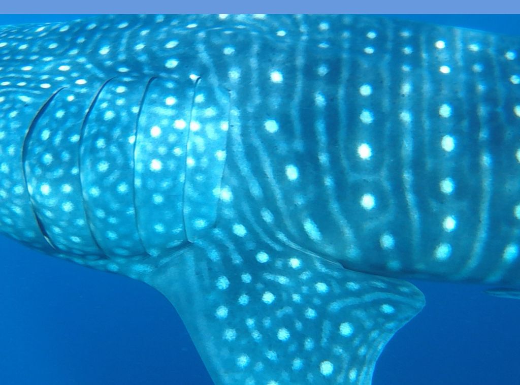 dfae3ab6-3502-4583-9d56-121d9143b5d3