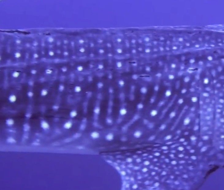 87012f96-5494-4773-b595-b1fb1d57eccb