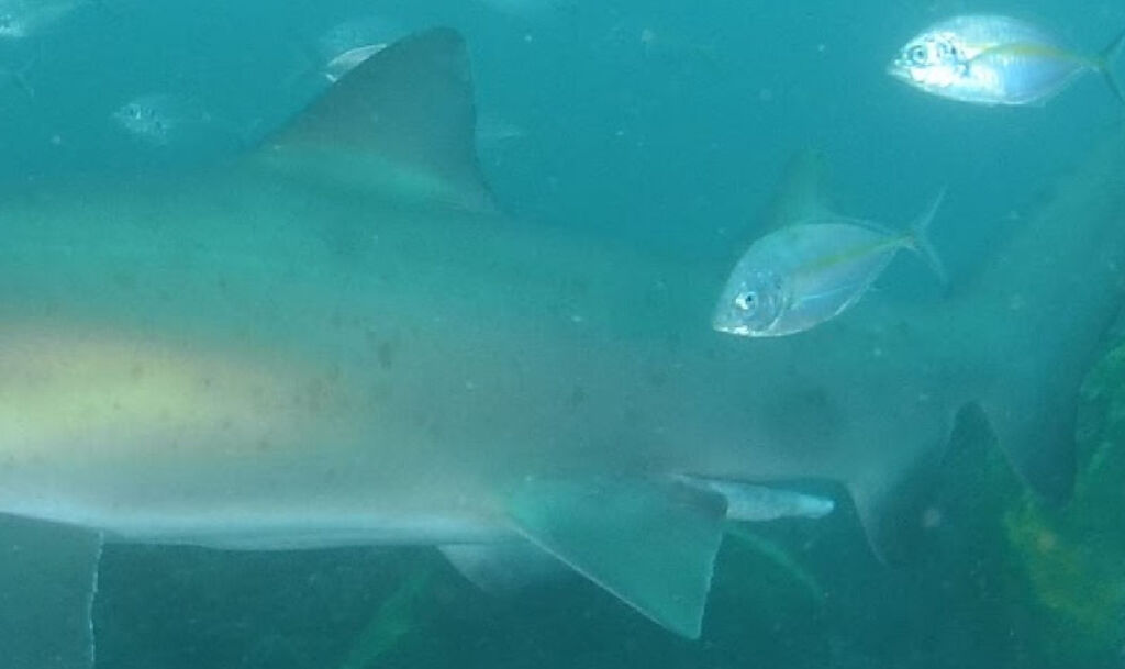 8baeccb0-0131-40d9-b44c-7713f3b6a19e