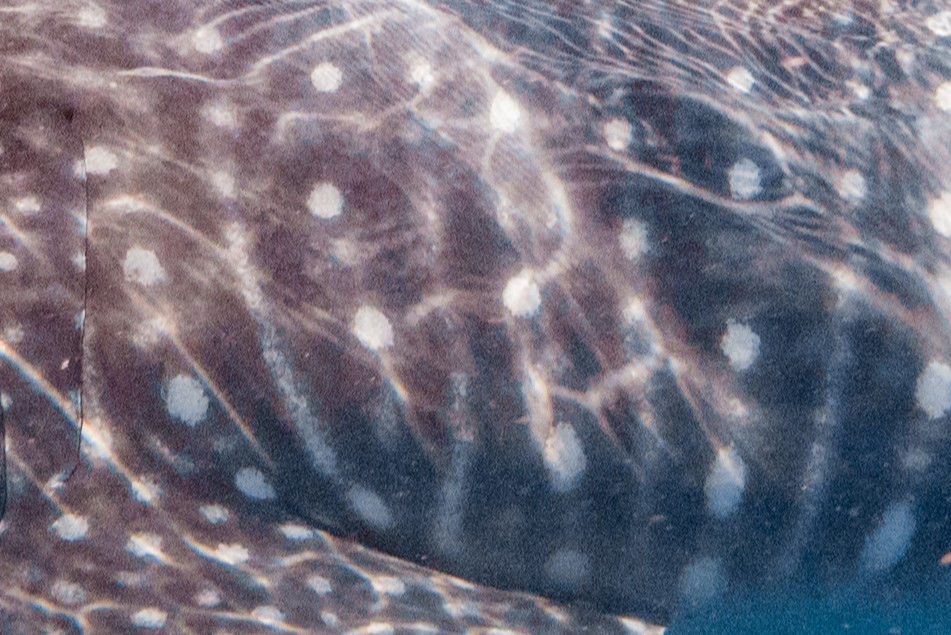 39d3ddf2-8bcc-4c53-887c-8fc1cf802e6b