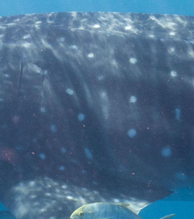 8346659c-598c-45b3-a959-0449a1e316be