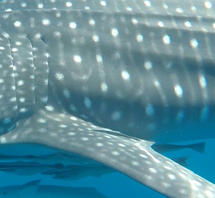 985bffa6-5020-49ad-9e87-a3eff5c44636