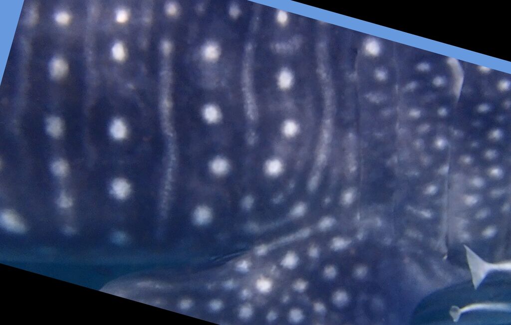 ccf99982-4a88-4b4b-8a66-3d749c97555c