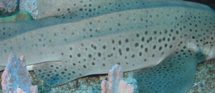 3df2fa38-5c70-4fe8-aa56-9b7e79f0c0af