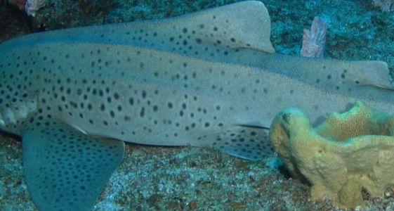 3df2fa38-5c70-4fe8-aa56-9b7e79f0c0af